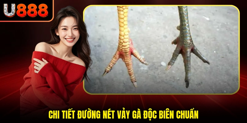 Chi tiết đường nét vảy gà độc biên chuẩn