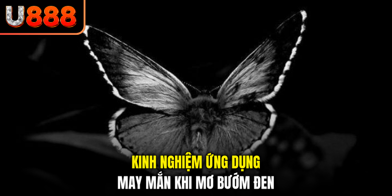 Kinh nghiệm ứng dụng may mắn khi mơ bướm đen